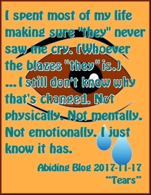 I spent most of my life making sure "they" never saw me cry. (Whoever the blazes "they" is.) ... I still don't know why that's changed. Not mentally. Not emotionally. I just know it has. #NeverCry #NeverSeeMe #AbidingBlog2017Tears